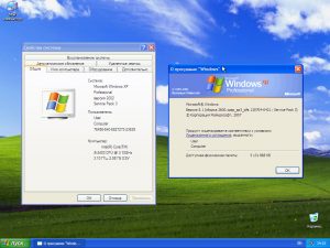 Windows zver отличия от xp